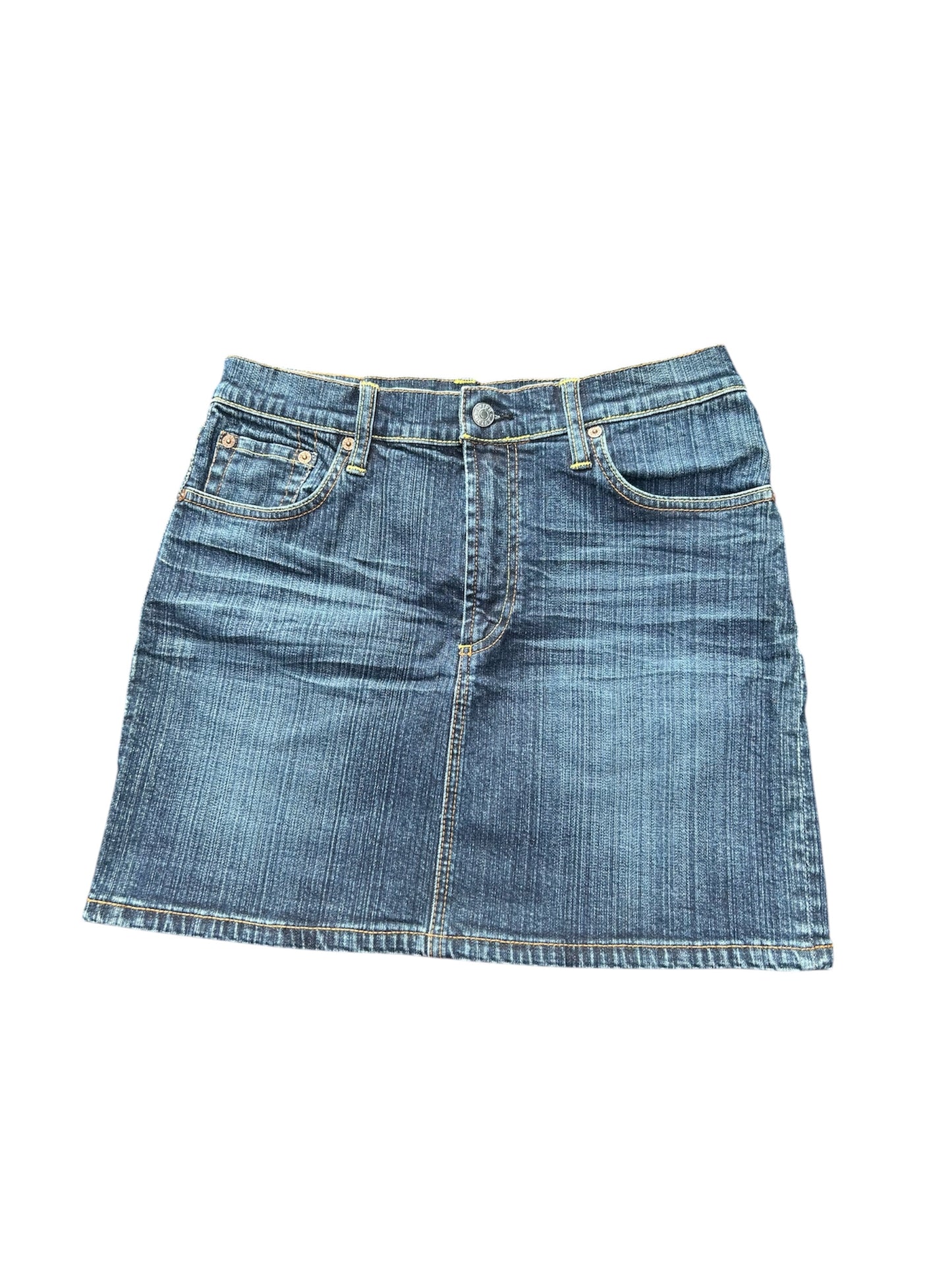 Evisu Skirt (28)