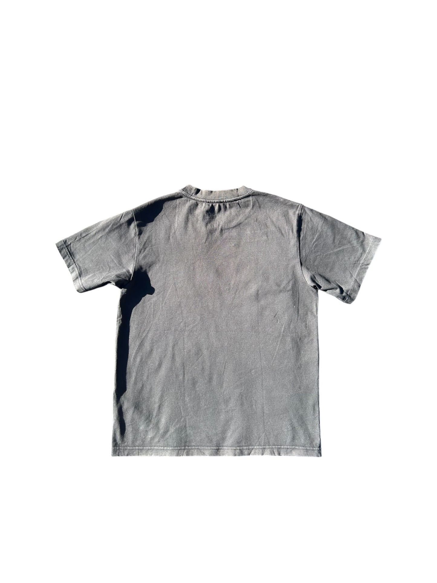 Evisu Tee (M)